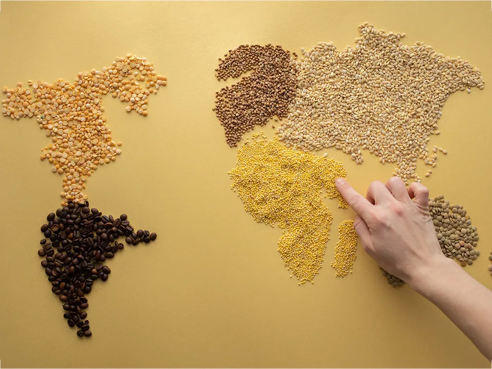 Agricultural products supply chain