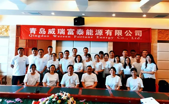 WEREEN 2019 Semi-annual Company Reports - image 1
