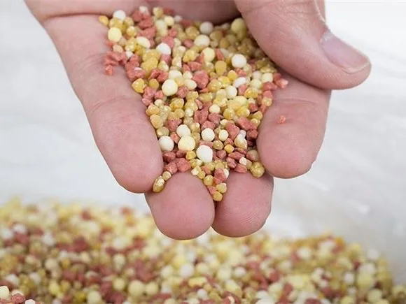 Sulphur & Fertilizer - image 3